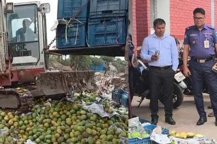 সাতক্ষীরায় কেমিক্যাল মিশ্রিত ৯ হাজার কেজি বিষাক্ত আম জব্দ ও ধ্বংস