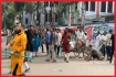 ঢাকা আলিয়া মাদরাসায় ছাত্রদল-শিবির সংঘর্ষ, উত্তপ্ত এলাকা, আহত ২০
